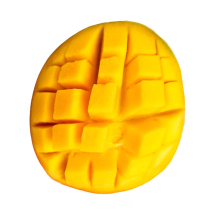 Nutrend Protein Bar Mango en Cobertura de Yogur 23% Proteína – Caja 24 de  Barras 55g Chile